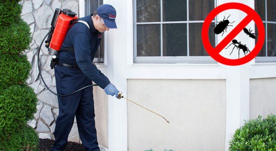 Doğanyurt Böcek ve Haşere İlaçlama böcek ilaçlama ve haşere kontrolü — ilaclama-tr.com